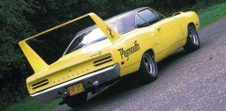 Winged wonder Winged wonder