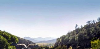 1000 miles through Arizona in a ‘survivor’ 1955 Mercedes-Benz 300SL Gullwing W198 2019 Patrick Ernzen and Drive-My EN/UK